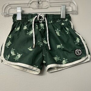 Binky Bro Green turtle swim shorts. Mesh liner. Size 18m